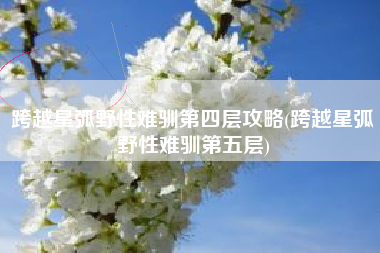 跨越星弧野性难驯第四层攻略(跨越星弧野性难驯第五层)