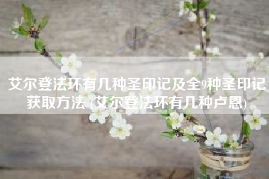 艾尔登法环有几种圣印记及全9种圣印记获取方法 (艾尔登法环有几种卢恩)