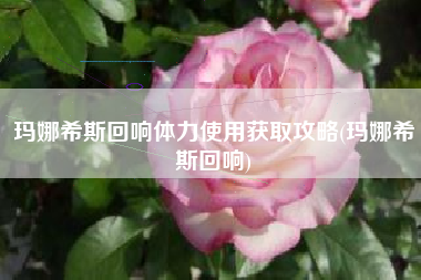 玛娜希斯回响体力使用获取攻略(玛娜希斯回响)