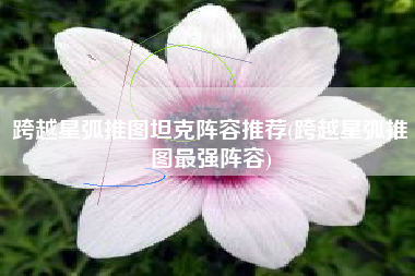 跨越星弧推图坦克阵容推荐(跨越星弧推图最强阵容)