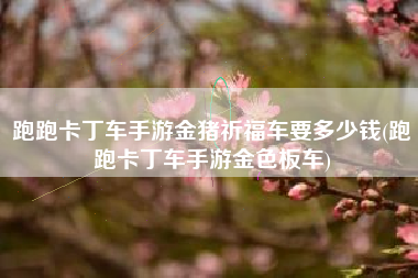 跑跑卡丁车手游金猪祈福车要多少钱(跑跑卡丁车手游金色板车)