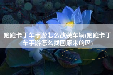 跑跑卡丁车手游怎么改装车辆(跑跑卡丁车手游怎么找回原来的区)