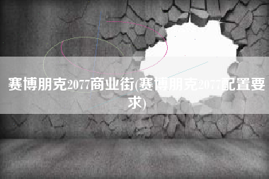 赛博朋克2077商业街(赛博朋克2077配置要求)