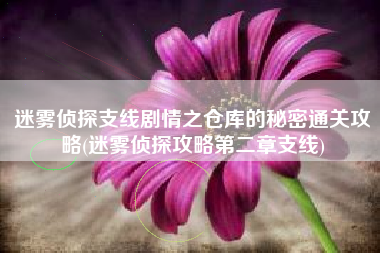 迷雾侦探支线剧情之仓库的秘密通关攻略(迷雾侦探攻略第二章支线)