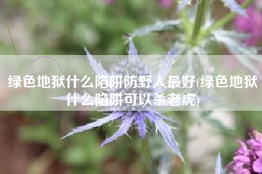 绿色地狱什么陷阱防野人最好(绿色地狱什么陷阱可以杀老虎) 绿色地狱什么陷阱防野人最好(绿色地狱什么陷阱可以杀老虎)