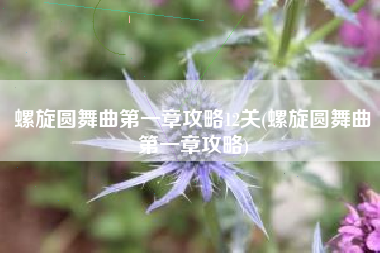 螺旋圆舞曲第一章攻略12关(螺旋圆舞曲第一章攻略)