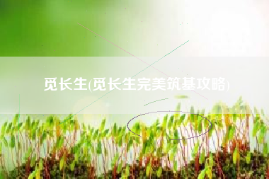 觅长生(觅长生完美筑基攻略)