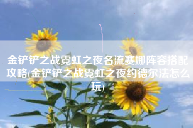 金铲铲之战霓虹之夜名流赛娜阵容搭配攻略(金铲铲之战霓虹之夜约德尔法怎么玩)