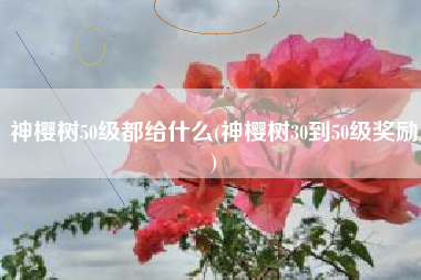 神樱树50级都给什么(神樱树30到50级奖励)