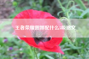 王者荣耀露娜配什么5级铭文