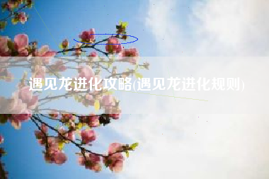 遇见龙进化攻略(遇见龙进化规则)