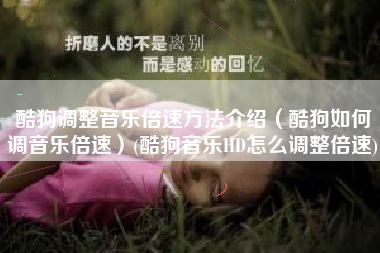 酷狗调整音乐倍速方法介绍（酷狗如何调音乐倍速）(酷狗音乐HD怎么调整倍速)