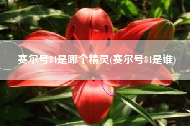 赛尔号84是哪个精灵(赛尔号84是谁)