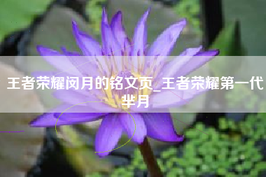 王者荣耀闵月的铭文页_王者荣耀第一代芈月