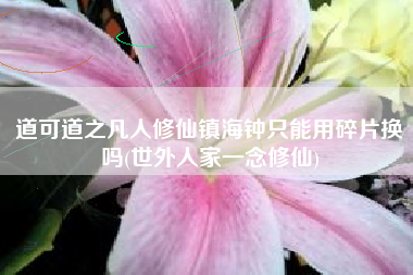 道可道之凡人修仙镇海钟只能用碎片换吗(世外人家一念修仙)