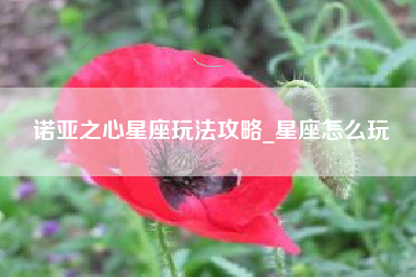 诺亚之心星座玩法攻略_星座怎么玩