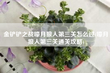 金铲铲之战嚎月狼人第三关怎么过(嚎月狼人第三关通关攻略)