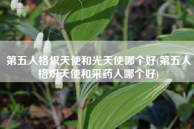 第五人格炽天使和光天使哪个好(第五人格炽天使和采药人哪个好)