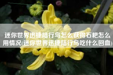 迷你世界迅捷陆行鸟怎么获得石耙怎么用情况(迷你世界迅捷陆行鸟吃什么回血)