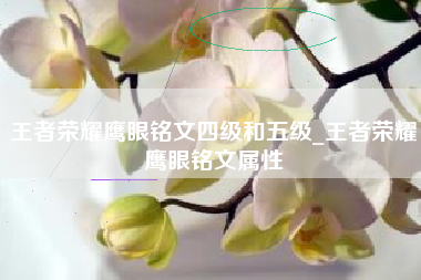 王者荣耀鹰眼铭文四级和五级_王者荣耀鹰眼铭文属性