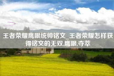 王者荣耀鹰眼统帅铭文_王者荣耀怎样获得铭文的无双,鹰眼,夺萃