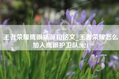 王者荣耀鹰眼祸源和铭文_王者荣耀怎么加入鹰眼护卫队2021