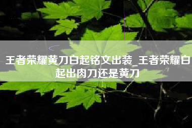 王者荣耀黄刀白起铭文出装_王者荣耀白起出肉刀还是黄刀