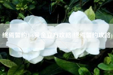 终焉誓约3-6黄金立方攻略(终焉誓约攻略)