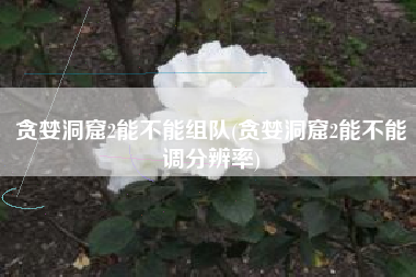 贪婪洞窟2能不能组队(贪婪洞窟2能不能调分辨率)