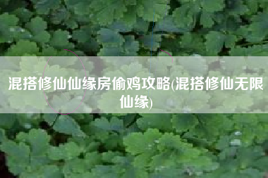 混搭修仙仙缘房偷鸡攻略(混搭修仙无限仙缘)