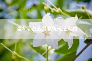 镖人手游玄兵系统玩法攻略