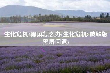 生化危机6黑屏怎么办(生化危机8破解版黑屏闪退)