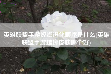 英雄联盟手游螳螂进化顺序是什么(英雄联盟手游螳螂皮肤哪个好)