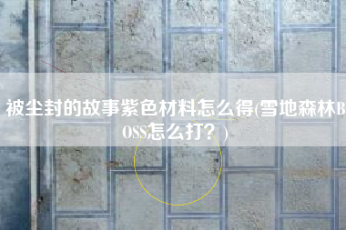 被尘封的故事紫色材料怎么得(雪地森林BOSS怎么打？)