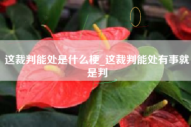 这裁判能处是什么梗_这裁判能处有事就是判