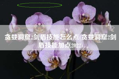 贪婪洞窟2剑盾技能怎么点(贪婪洞窟2剑盾技能加点2022)