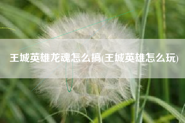 王城英雄龙魂怎么搞(王城英雄怎么玩)
