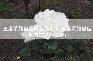王者荣耀最佳队友怎么拿(王者荣耀最佳队友成就怎么刷)