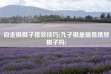 自走棋棋子摆放技巧(九子棋是随意摆放棋子吗)