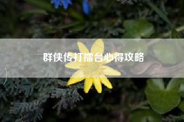 群侠传打擂台心得攻略