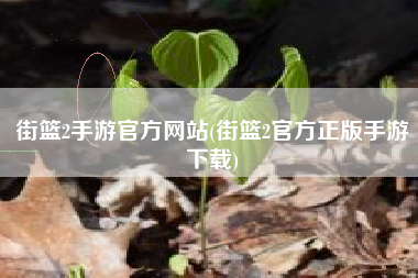 街篮2手游官方网站(街篮2官方正版手游下载)