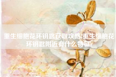 重生细胞花环钥匙获取攻略(重生细胞花环钥匙附近有什么特征)