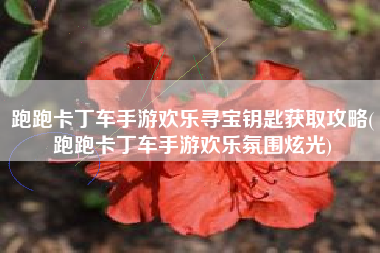 跑跑卡丁车手游欢乐寻宝钥匙获取攻略(跑跑卡丁车手游欢乐氛围炫光)