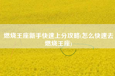 燃烧王座新手快速上分攻略(怎么快速去燃烧王座)