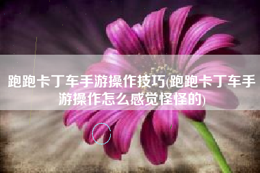 跑跑卡丁车手游操作技巧(跑跑卡丁车手游操作怎么感觉怪怪的)