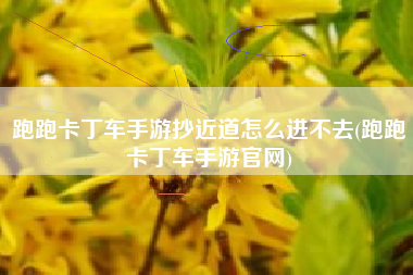 跑跑卡丁车手游抄近道怎么进不去(跑跑卡丁车手游官网)
