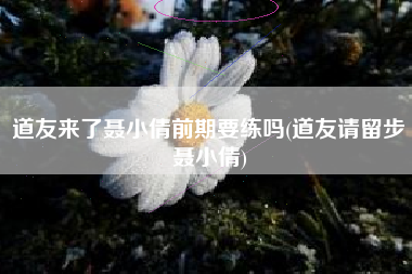 道友来了聂小倩前期要练吗(道友请留步聂小倩)