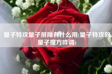 量子特攻量子屏障有什么用(量子特攻的量子魔方咋调)