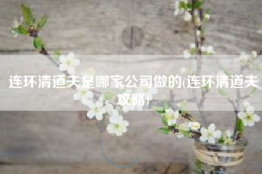 连环清道夫是哪家公司做的(连环清道夫攻略)