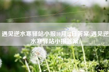 遇见逆水寒驿站小报10月28日答案(遇见逆水寒驿站小报答案)